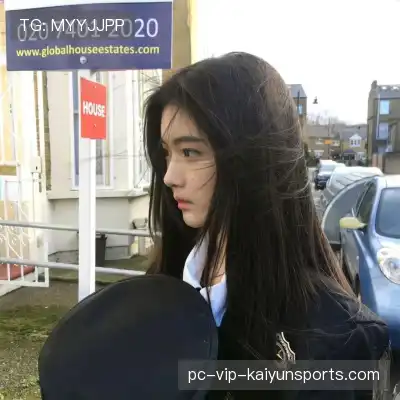 刁帆展